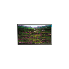 P236MWF1 R0 23,6 polegadas 1920*1080 painel LCD módulo LVDS
