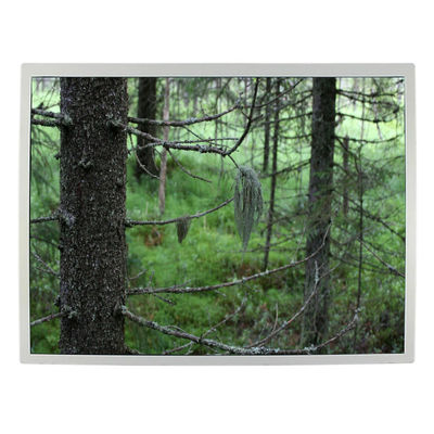 Bom preço 12,1 exposição industrial da tela LQ121S1LG79 LCD TFT da polegada 82ppi lcd on-line