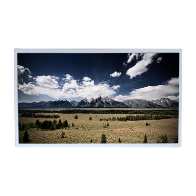 Bom preço 18,5 polegadas 1366x768 LM185TT2A LCD monitoram a visualização ótica de tela táctil on-line