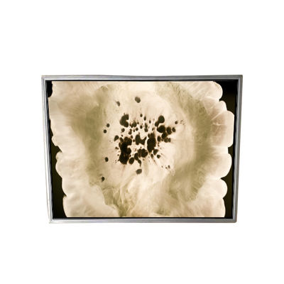 Bom preço NL256204AC16-01 92 pin LCD Medical Screen on-line