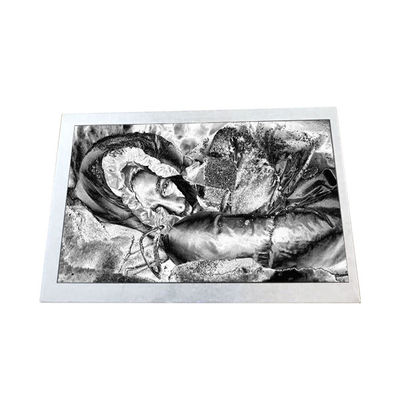 Bom preço Indústria TX13D06VM2BAA 5,0 polegadas 188PPI ecrã LCD on-line