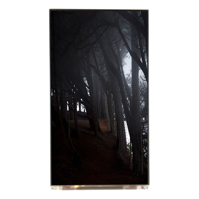 Bom preço LQ055T3SX04 5,5 polegadas 1080*1920 TFT-LCD on-line