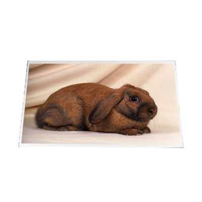 Bom preço B140RW03 V1 14,0 polegadas 1600*900 LCD SCREEN PANEL on-line