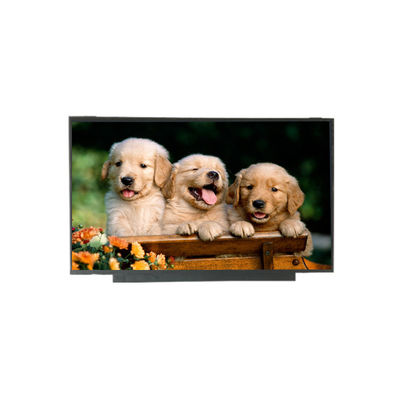 Bom preço B140QAN01.1 14,0 polegadas 2560*1440 TFT-LCD on-line