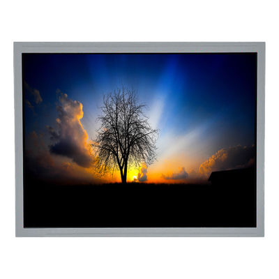 Bom preço TCG104XGLPAPNN-AN31 10,4 polegadas 1024*768 600 cd/m2 LCD Display on-line