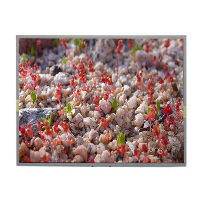 Bom preço LM2011-SLWE01 Original 20,1 polegadas 1680 * 1050 LCD Display Screen on-line