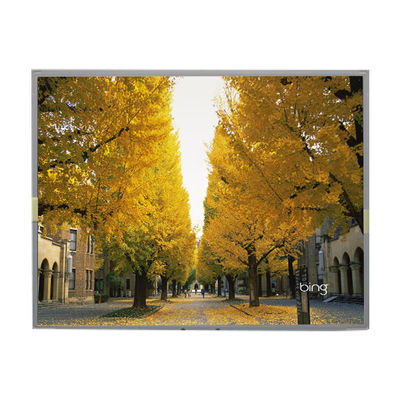 Bom preço LM2013-WETLB1 20,1 polegadas tela LCD 1680 * 1050 LCD on-line