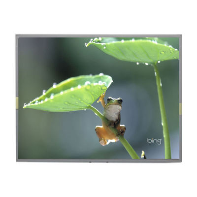 Bom preço LM2013-WETLF1 Original em estoque 20,1 polegadas LCD Display Screen on-line