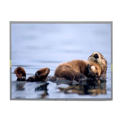 Bom preço LM2013-TLWEJ1 20,1 polegadas 1680*1050 TFT LCD on-line