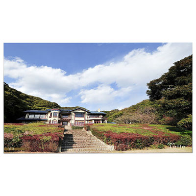 Bom preço LM215WFA-SSE1 Touch LCD Screen 1920*1080 FHD Para Lenovo 01AG987 on-line