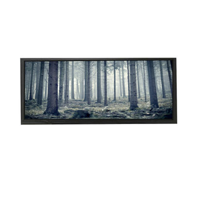 Bom preço AV103Z7M-N13-3850 10,3 polegadas LCD Screen Display LCD MODULO on-line