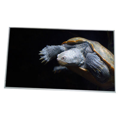 Bom preço LM300W01-STA2 Novo ecrã LCD de 30,0 polegadas 2560*1600 on-line