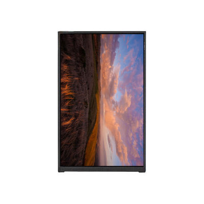 Bom preço BP096WX1-100 9,6 polegadas tela LCD LCD Display MODULO on-line