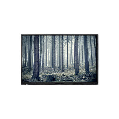 Bom preço BP101WX2-100-3QP0 10,1 polegadas tela LCD on-line