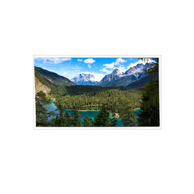 Bom preço 1280*800 QV121WXB-N10 12,1 polegadas 60Hz 1200 : 1 módulo de tela de painel LCD on-line