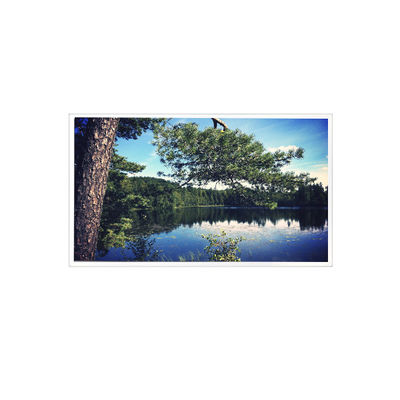 Bom preço 1024*768 15,0 polegadas TDA150-002 LVDS on-line