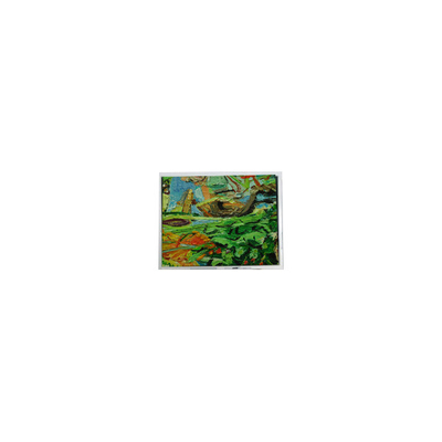 Bom preço Original 800*480 5,0 polegadas AM-800480NGTZQW-01H 45 pinos WLED painel de tela LCD on-line
