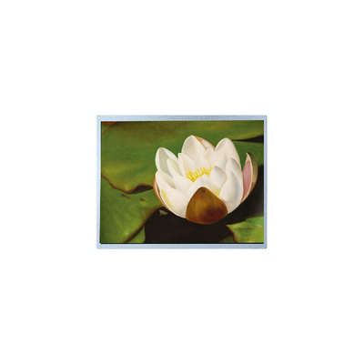 Bom preço AM-1024768M2TMQW-T06H 1024*768 10,4 polegadas PCAP TFT LCD Screen Parts on-line