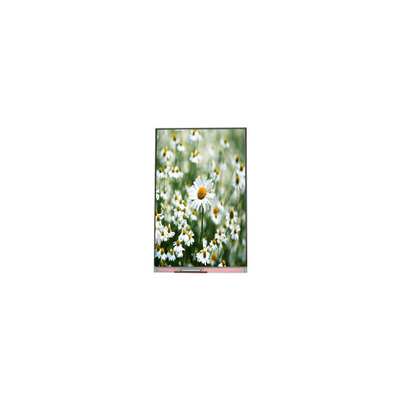 Bom preço 1080*1920 5.5 polegadas PP055IA-03N LCD display Module Panel on-line