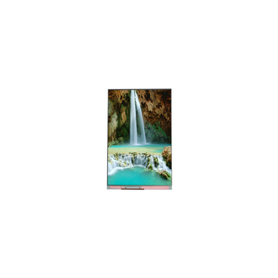 Bom preço NOVO Monitor LCD de 5,5 polegadas PP055IC-01D 1080*1920 60Hz on-line