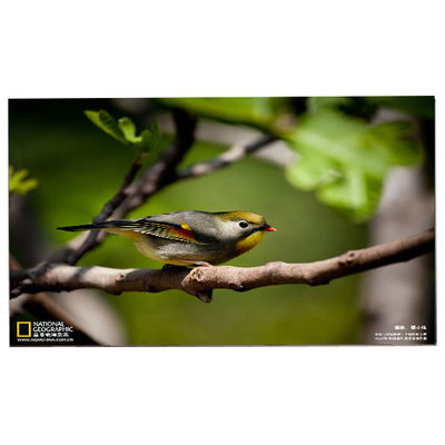 Bom preço 24.0 polegada 1920*1200 M240UAN02.1 CELULAR Ecrã LCD on-line