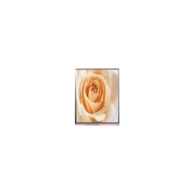 Bom preço C050SWAF-0 5,0 polegadas 720*1280 painel de ecrã LCD on-line