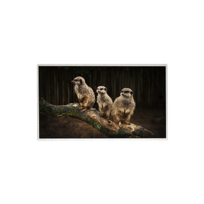 Bom preço HR236WU1-310 23,6 polegadas 1920*1080 tela LCD TFT painel LCD on-line