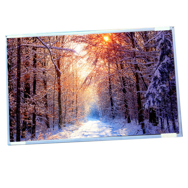 Exposição G220SW01 V0 de AUO tela panorâmico de 22,0 IPS lcd da polegada com definição 1680 (RGB) ×1050