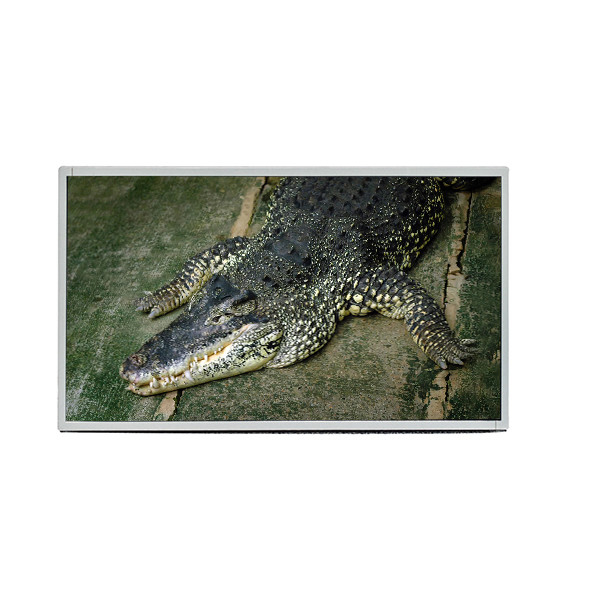 AUO 19,5 tela de exposição da relação 1600X900 TFT LCD do painel M195RTN01.0 LVDS da polegada para o portátil industrial