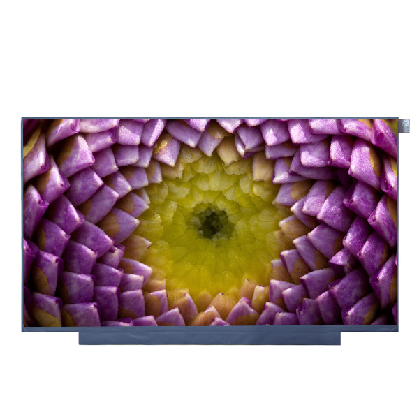 O portátil magro da tela do diodo emissor de luz de 40 pinos de 14,0 polegadas NT140WHM-N47 indica monitores do LCD