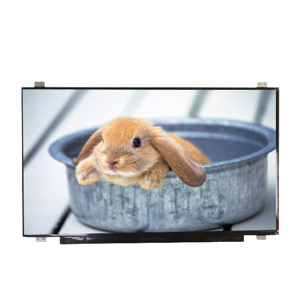 Suporte B173HAN01.4 tamanho 17,3 polegadas Matte Hard revestimento de tela LCD
