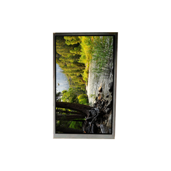 BA050WQ2-200 5,0 polegadas 480 * 272 tela LCD para navegação portátil