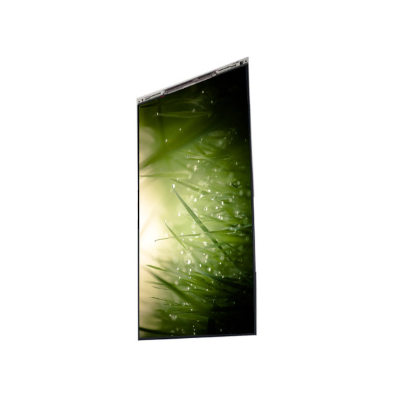 BS055FHG-E41-6C00 5.5 polegadas LCD Display LCD painel de tela para telefone móvel