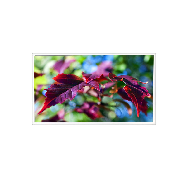 TV116FHM-N00 1920*1080 11,6 polegadas 60Hz 40 pinos LCD Painel Monitor