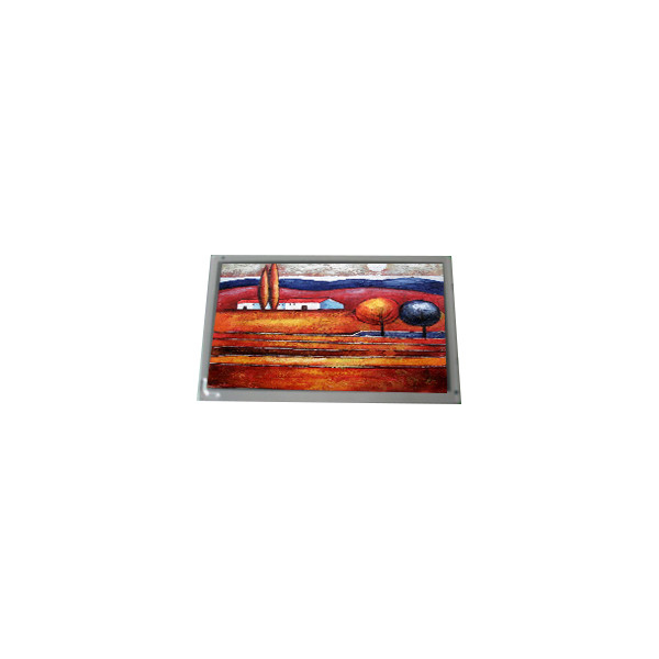 Peças AM-800480R2TMQW-T51H 800*480 7,0 polegadas TFT-LCD