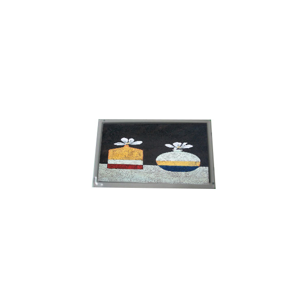 Original 7.0 polegadas AM-800480S2TMQW-TE1 800 * 480 40 pinos tela LCD
