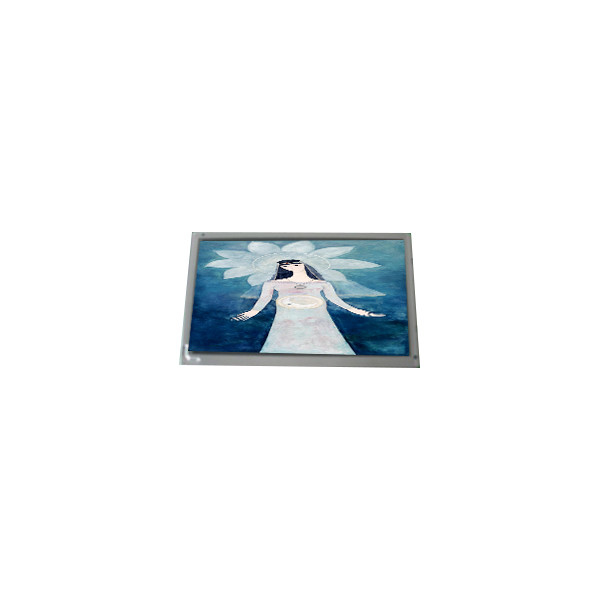 800*600 8,0 polegadas AM-800600C4TMQW-B1H 3S9P WLED TFT-LCD