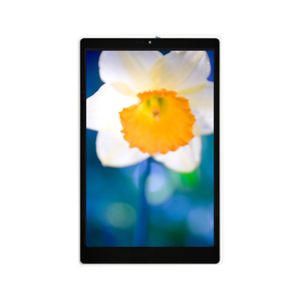 TV101WXM-NLA 10,1 polegadas 800 * 1280 LCD Display para Pad Tablet