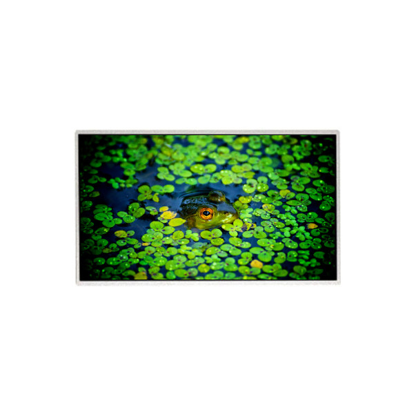 HR236WU3-301 23,6 polegadas 1920*1080 tela LCD para monitor de desktop