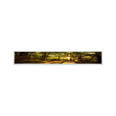 Bom preço LSI290LN01 29 módulo da exposição de TFT LCD LCM do um-si da polegada on-line