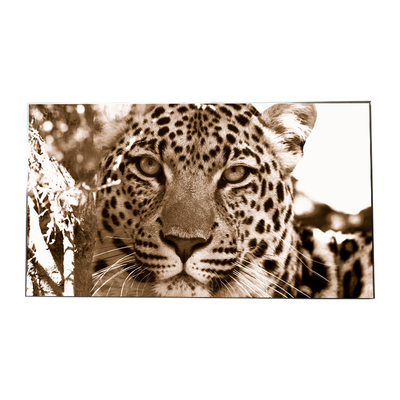 Bom preço Definição video original dos painéis de parede LD550DUS-SEF1 do LG LCD 1920*1080 on-line