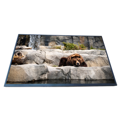 Bom preço Painel LCD original EV238FHM-N13 de BOE 23,8 exposição da definição 1920*1080 LCD da polegada on-line