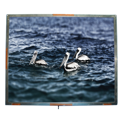 Bom preço Painel da tela da polegada 1280*1024 TFT LCD do modelo 18,1 do CMO R181E2-L01 on-line