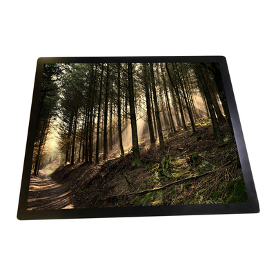 Bom preço R190ECE-L01 LCD monitora a visualização ótica de painel LCD de 19,0 polegadas on-line