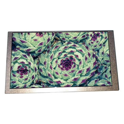 Bom preço 6.2 polegadas HSD062IDW1-B00-C00 painel LCD 800 * 480 tela LCD on-line