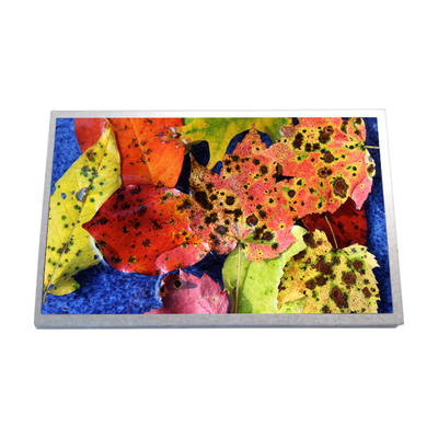 Bom preço 10.1 polegada HSD100IFW1-A02 Netbook LCD LED Display Panel on-line