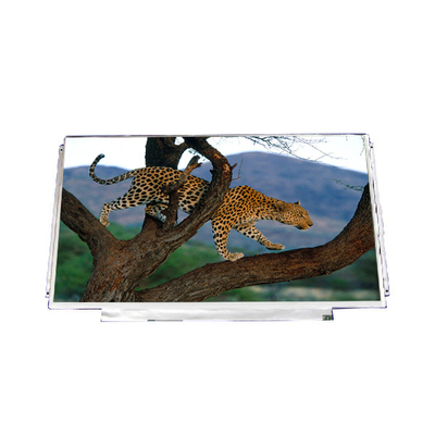 Bom preço B133XW03 V1 Ecrã LCD de 13,3 polegadas para AUO on-line