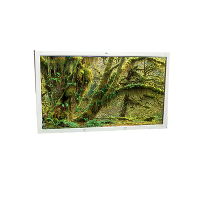 Bom preço Nova A101EW01 V0 10,1 polegadas 1280 * 800 LCD Painel de tela Para Netbook PC on-line