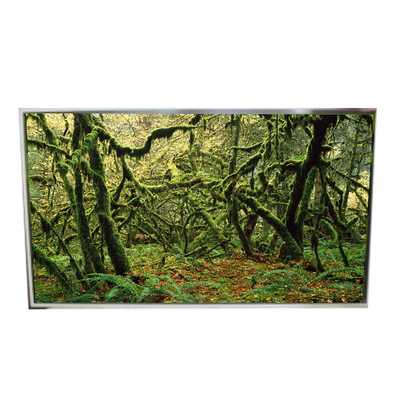 Bom preço LD490EPY-SHP1 51 Pins 1920*1080 60Hz Ecrã LCD para sinalização digital on-line