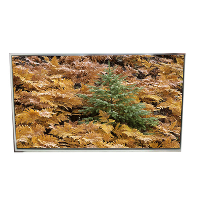 Bom preço 49.0 polegadas 3840*2160 LD490EQG-FNA4 tela LCD para sinalização digital on-line